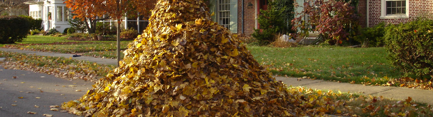 Landscape Contractor