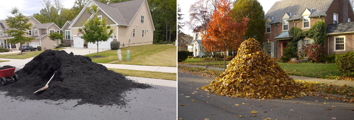 Lawn Maintenance